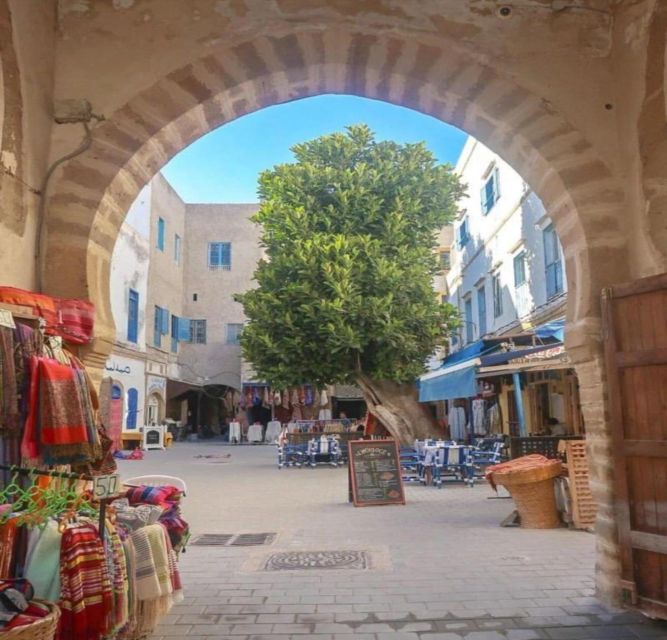 Essaouira Full Day Trip From Marrakech - Who will enjoy this day trip?