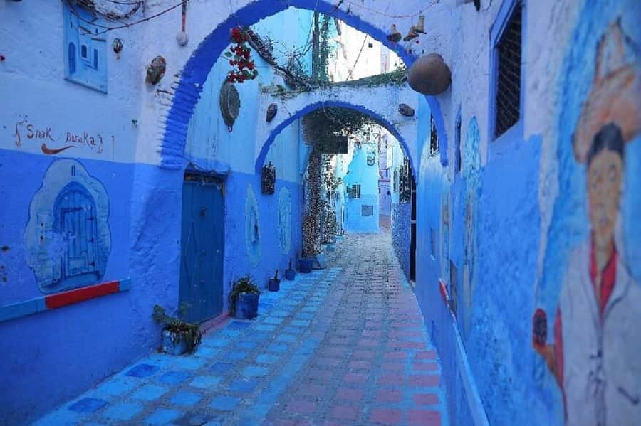 Fes to Chefchaouen Day Trip multi languages(EN/FR/ES/IT/AR) - Transport comfort and driver service