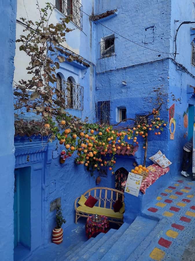 Fes to Chefchaouen Day Trip multi languages(EN/FR/ES/IT/AR) - What the $28 price really covers