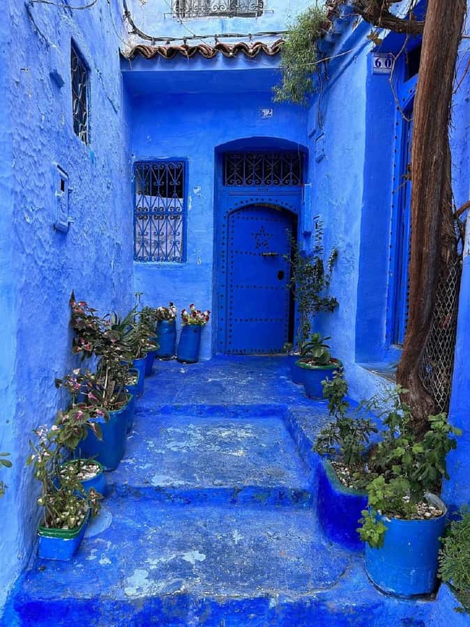 Fes to Chefchaouen Day Trip multi languages(EN/FR/ES/IT/AR) - The 8 a.m. pickup and the first miles