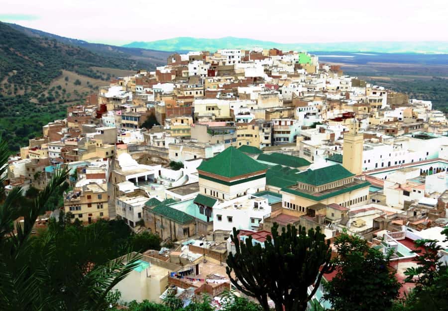 Fes: Volubilis Roman Ruins, Mouly Idriss, & Meknes Day Trip - Volubilis: the day’s essential stop
