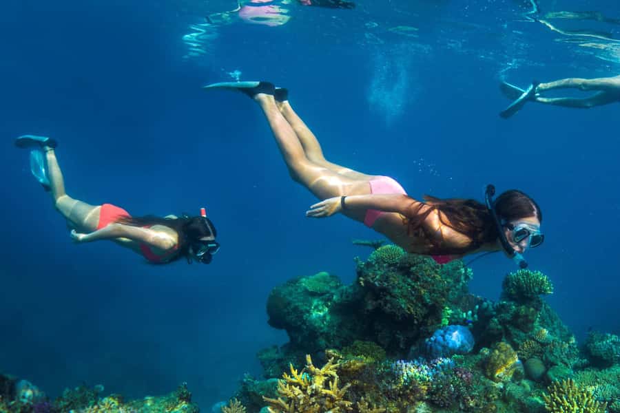 Fiji: Captain Cook Cruises - Island & Reef Day Trip - A buffet lunch with plenty on the plate