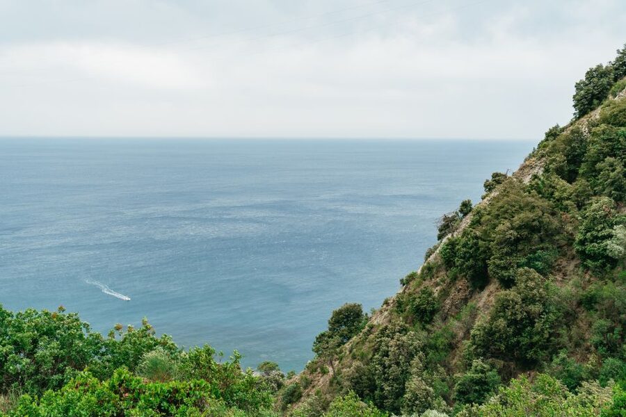 Florence: Cinque Terre Day Trip with Optional Hiking or Pisa - Vernazza offers the best pause in the day