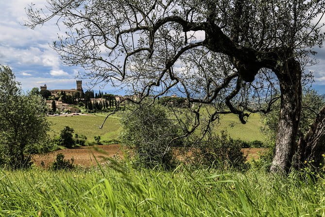 Florence: Day Trip with Free Time in San Gimignano and Siena - The walking and access reality