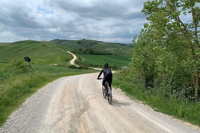 Florence: Day Trip with Free Time in San Gimignano and Siena - Who should book this trip
