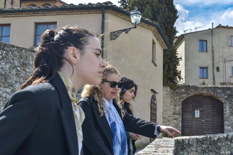 Florence: San Gimignano & Volterra Day Trip with Food & Wine - San Gimignano and the town of towers