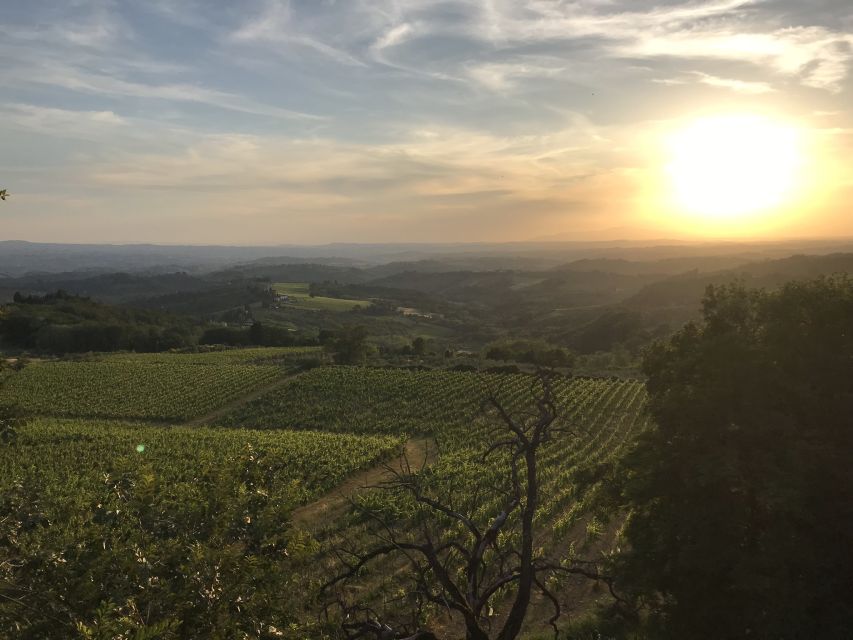 Florence: Tuscany Chianti Winery Private Day-Trip with Lunch - Who will enjoy this Chianti day trip?