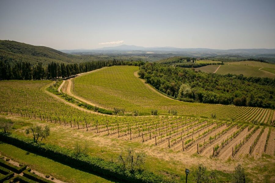 Florence: Tuscany Chianti Winery Private Day-Trip with Lunch - The private estate and its medieval cellars