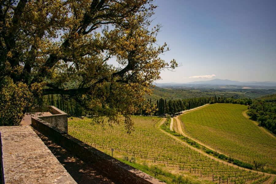 Florence: Tuscany Chianti Winery Private Day-Trip with Lunch - A Tuscan lunch with wine and olive oil