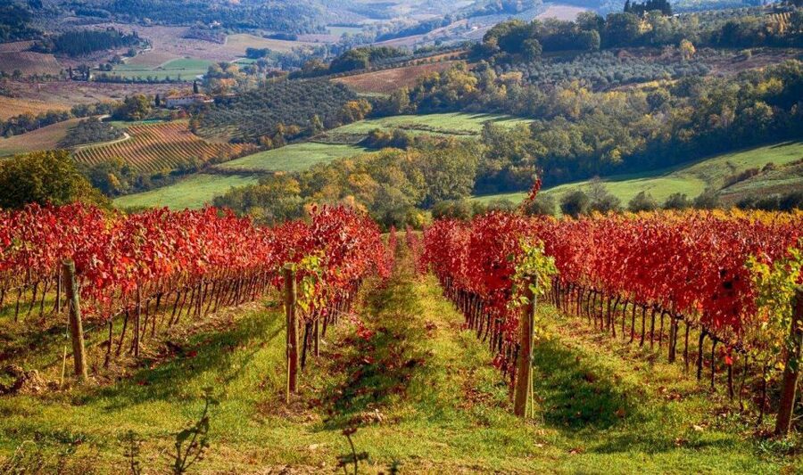 Florence: Tuscany Chianti Winery Private Day-Trip with Lunch - Is $258 per person a fair price?