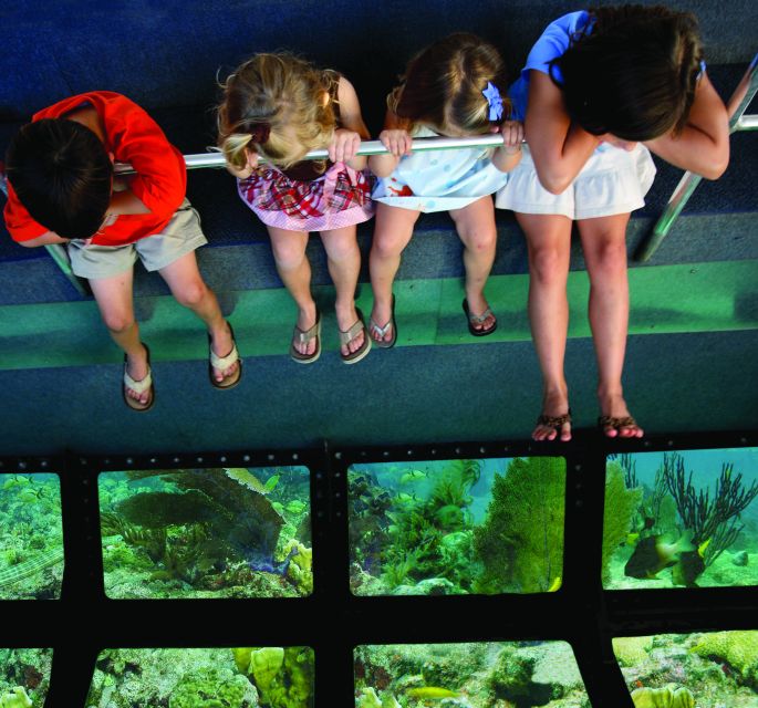 Fort Lauderdale: Key West Day Trip with Optional Activities - Who will enjoy this Key West day trip