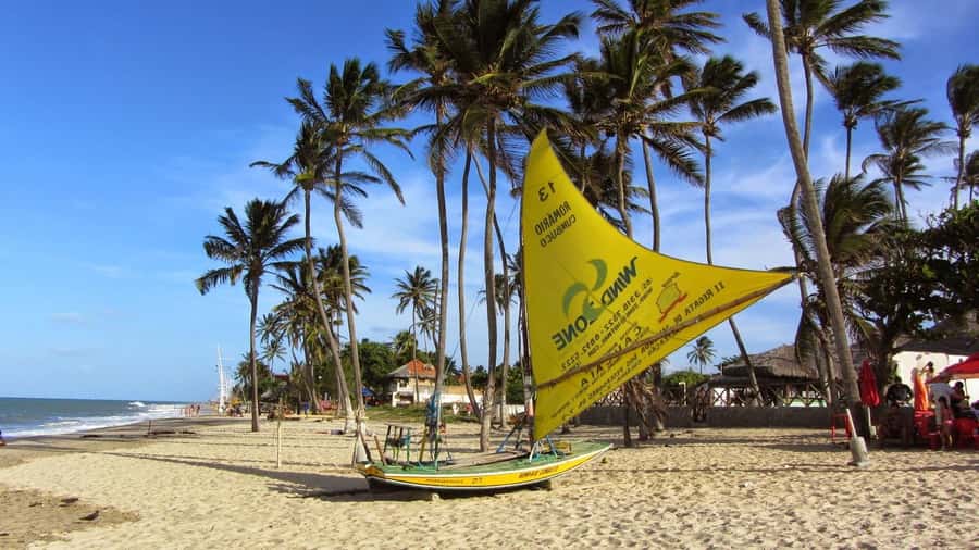 Fortaleza: Cumbuco Beach Day Trip - Swimming in the calm blue water