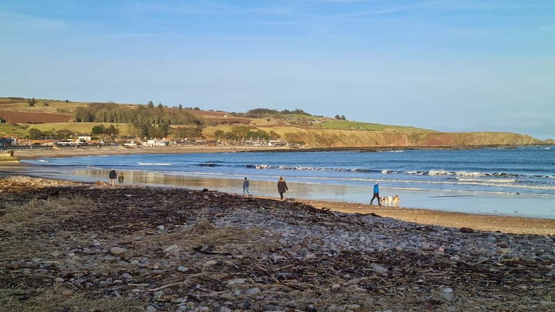 From Aberdeen: Guided Day Trip, Coast & Castle Visit - Mill of Benholm and the value of a quieter stop
