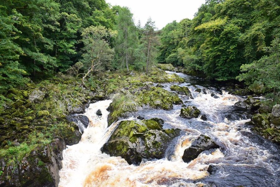 From Aberdeen: Guided Day Trip, Coast & Castle Visit - Greyhope Bay and Girdleness Lighthouse