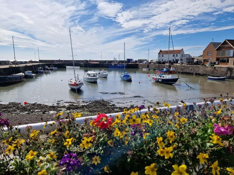 From Aberdeen: Guided Day Trip, Coast & Castle Visit - Starting at the Falls of Feugh