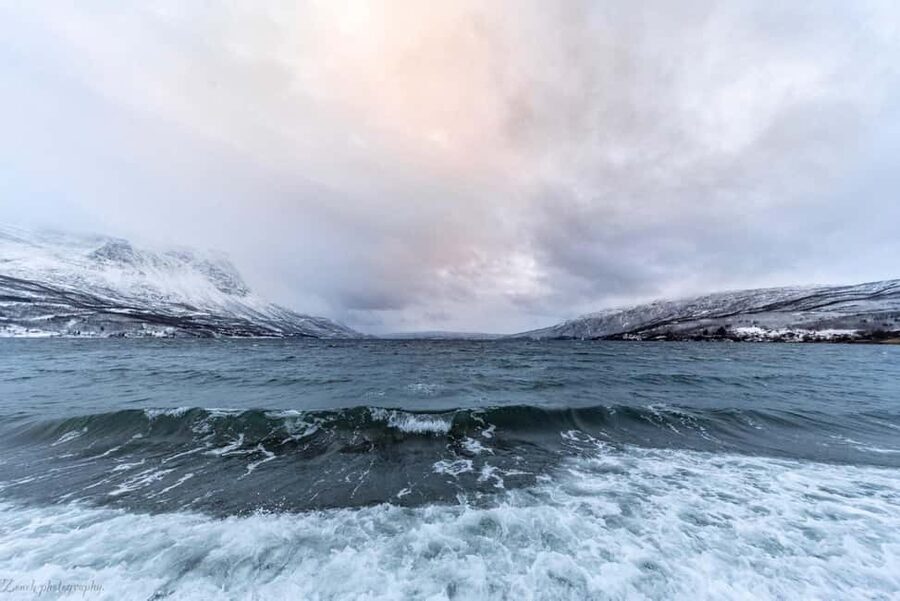 From Abisko: Narvik City and Fjord Day Trip - Who will enjoy it most
