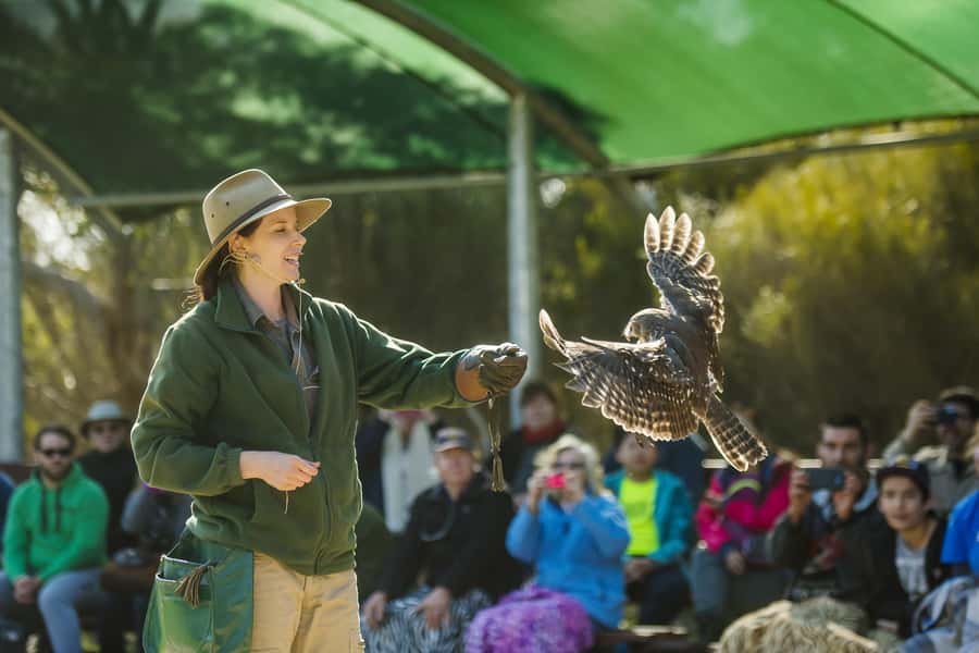 From Adelaide: Kangaroo Island Sip and See Day Trip - FAQ