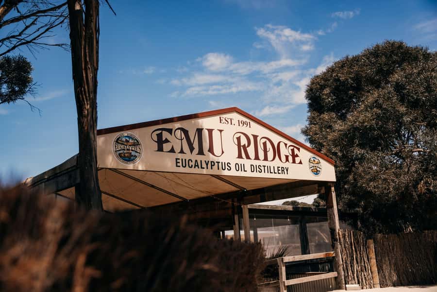 From Adelaide: Kangaroo Island Sip and See Day Trip - Penneshaw dinner and the return journey