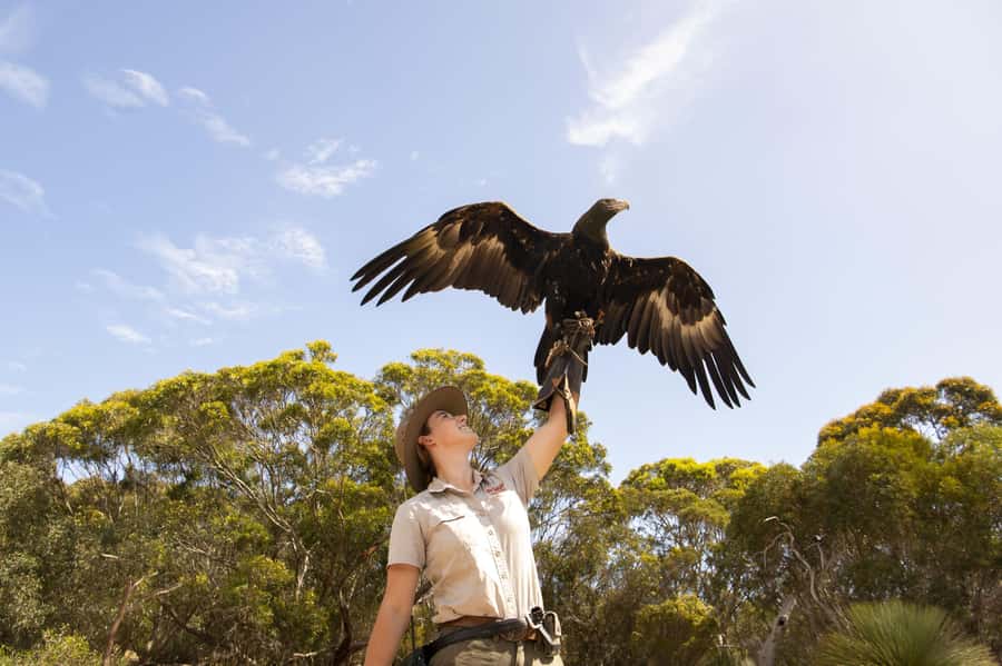 From Adelaide: Kangaroo Island Sip and See Day Trip - Is $275 a fair price?