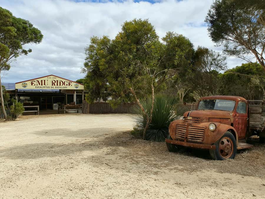 From Adelaide: Kangaroo Island Sip and See Day Trip - Raptor Domain and the Birds of Prey display