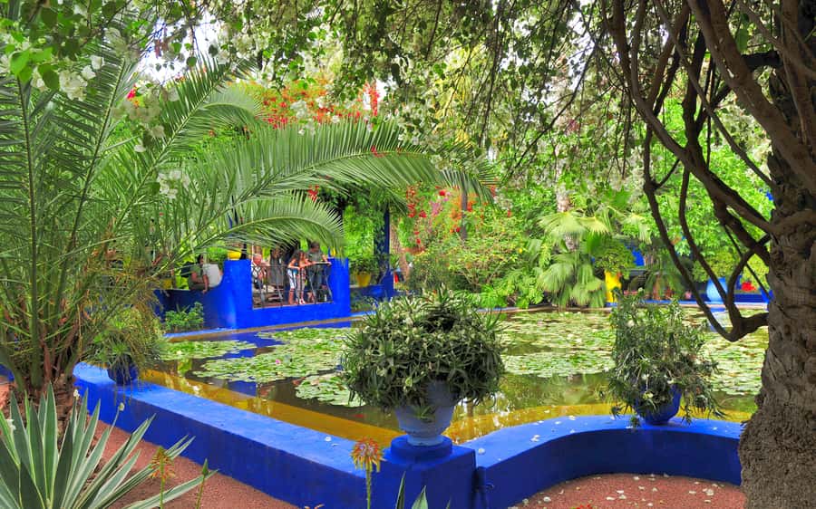 From Agadir: Guided Day Trip to Marrakech - Why this Agadir to Marrakech trip can be worth it