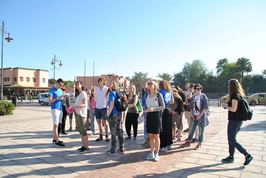 From Agadir: Guided Day Trip to Marrakech - Bahia Palace, a worthwhile but optional look