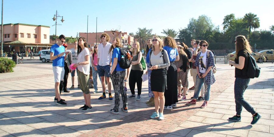 From Agadir: Guided Day Trip to Marrakech - Jamaa El Fna, Marrakech’s open-air stage