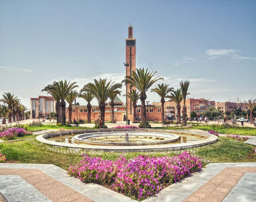 From Agadir: Legzira Beach & Tiznit Day Trip with Lunch - Booking flexibility and practical details