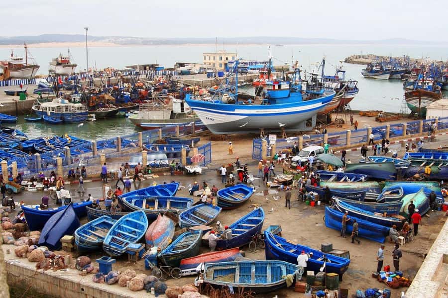From Agadir or Taghazout : Essaouira Day Trip - Key Points to Know Before You Book
