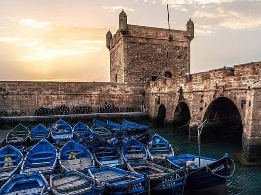 From Agadir or Taghazout : Essaouira Day Trip - First Look at Essaouira’s Medina