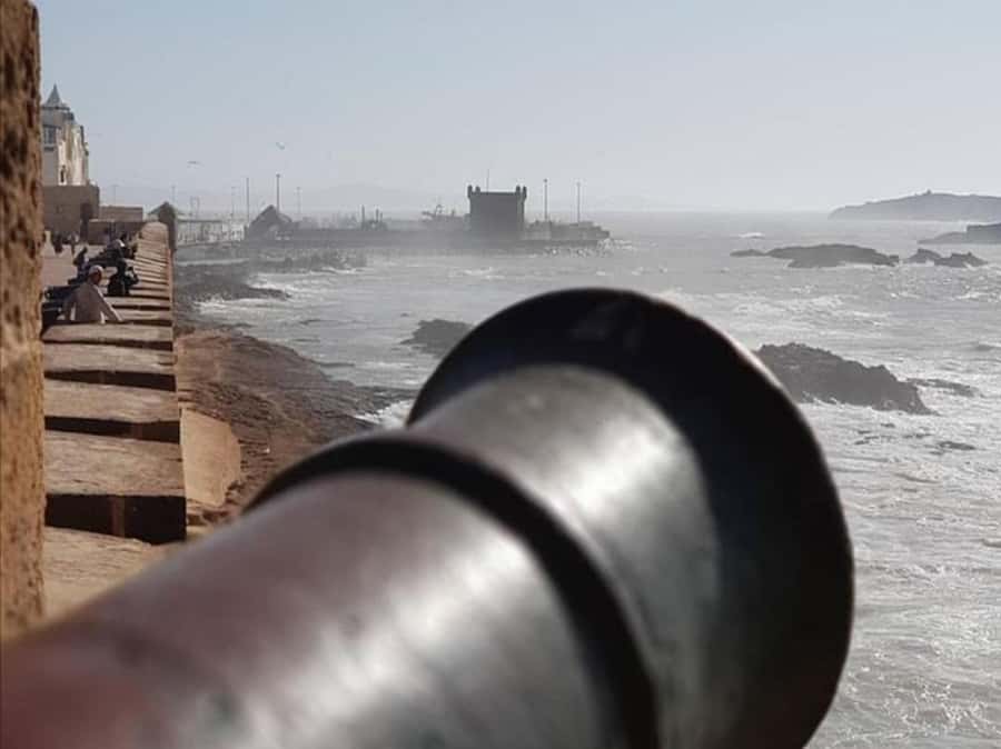 From Agadir or Taghazout : Essaouira Day Trip - The Harbor, Market, and Seafood Lunch