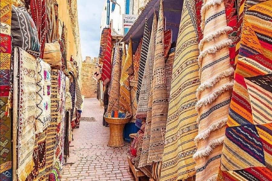 From Agadir or Taghazout : Essaouira Day Trip - The Return Journey and Overall Value