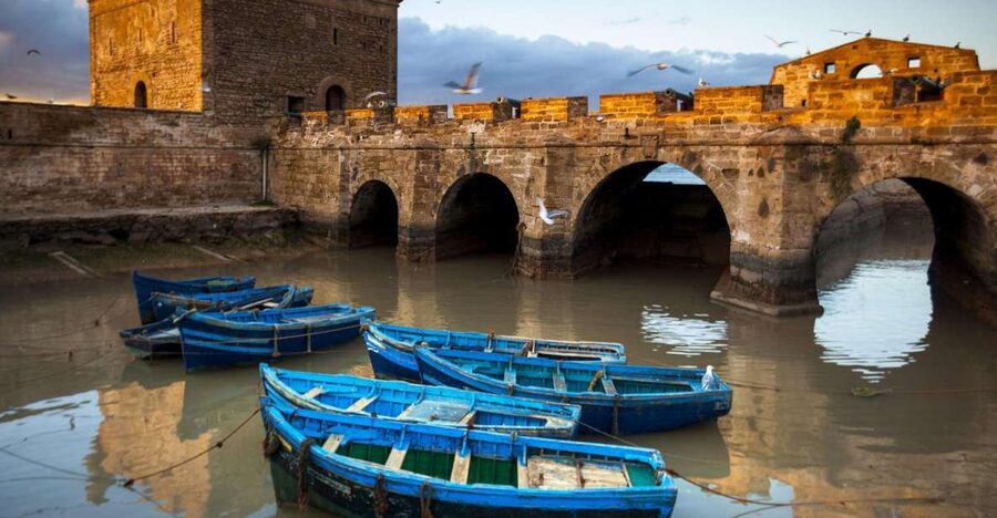 From Agadir or Taghazout: Essaouira Day Trip with Transfer - Why Essaouira makes a worthwhile day from Agadir