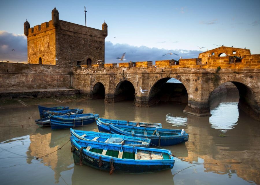 From Agadir or Taghazout: Essaouira Day Trip with Transfer - The women’s argan oil cooperative