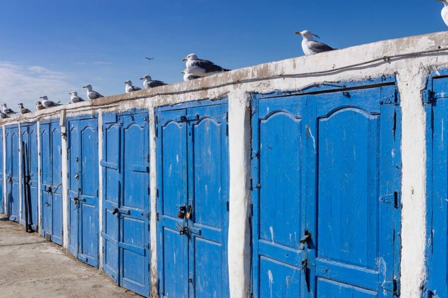 From Agadir or Taghazout: Essaouira Day Trip with Transfer - Free time for fish, lanes, and the ten-kilometer beach