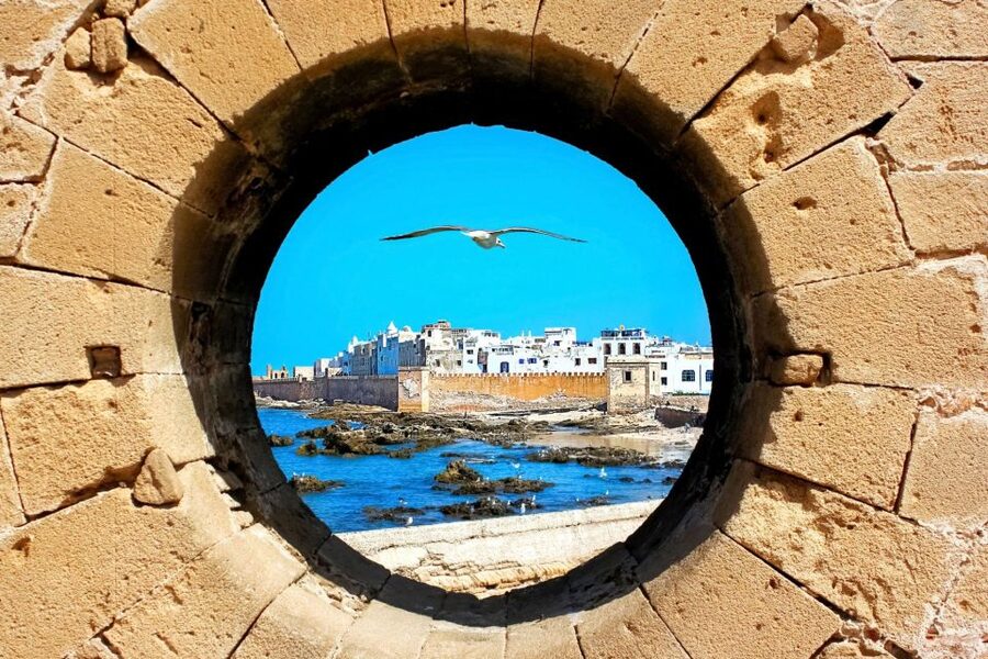 From Agadir or Taghazout: Essaouira Day Trip with Transfer - Is $41 good value?
