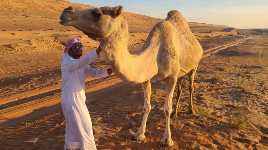 From Agadir: Sahara Desert Day Trip and Camel Ride - What makes this Agadir day trip worth considering