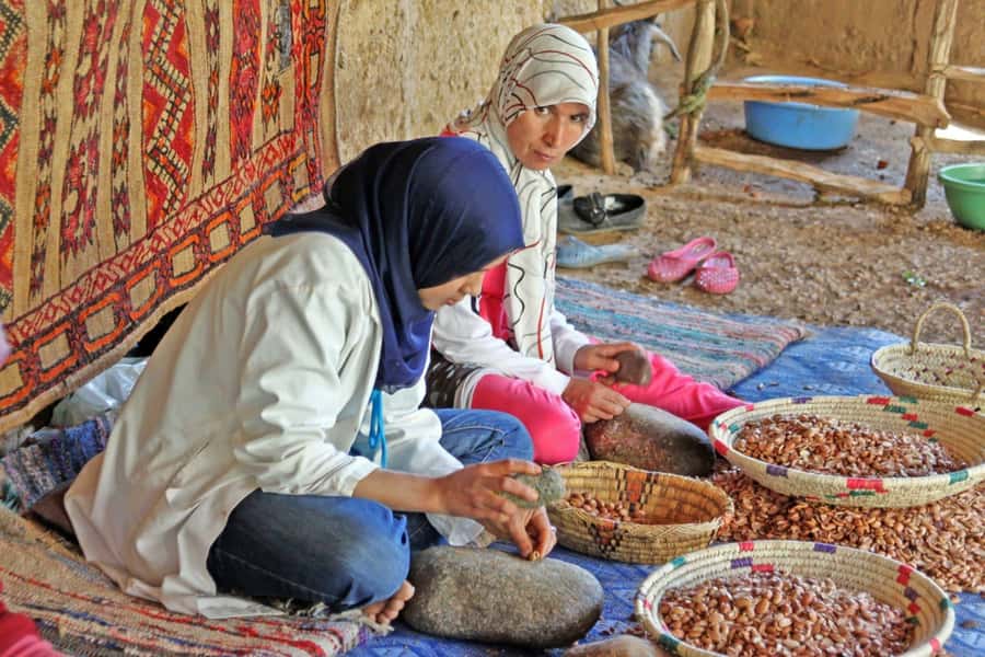 From Agadir: Tafraoute the Anti Atlas Day trip With Lunch - Key points to know before booking