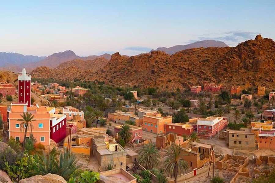 From Agadir: Tafraoute the Anti Atlas Day trip With Lunch - Who should book this day trip