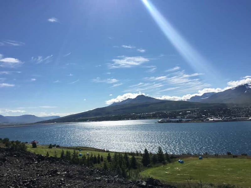 From Akureyri Port: Diamond Circle Guided Day Trip w/ Lunch - Dettifoss: the day’s most powerful sight
