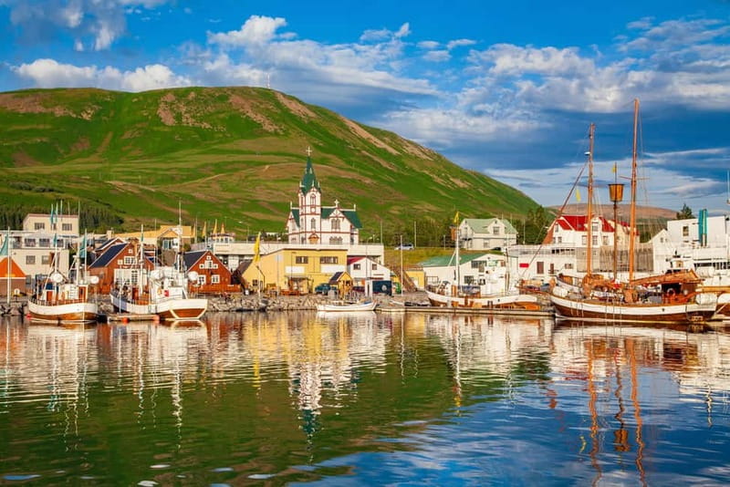 From Akureyri Port: Diamond Circle Guided Day Trip w/ Lunch - What the guide adds to the long bus hours