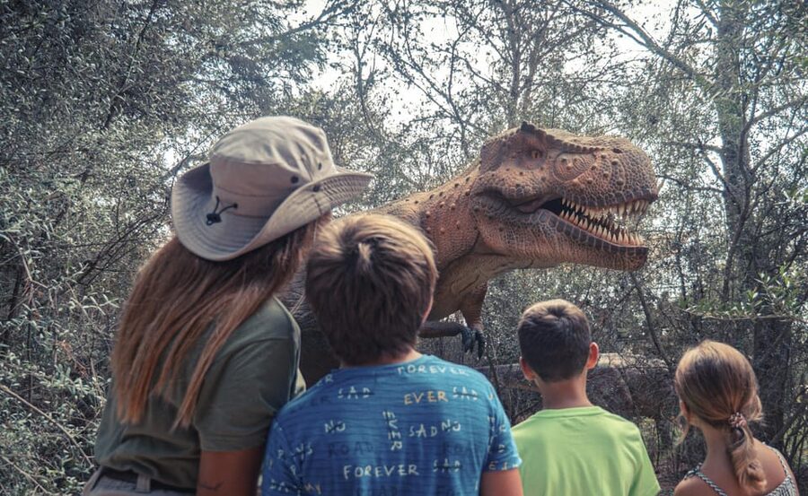 From Alcúdia: Dinosaurland and Hams' Caves Half-Day Trip - Should you book it?