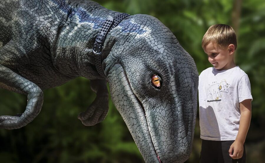 From Alcúdia: Dinosaurland and Hams' Caves Half-Day Trip - Dinosaurland’s moving prehistoric giants