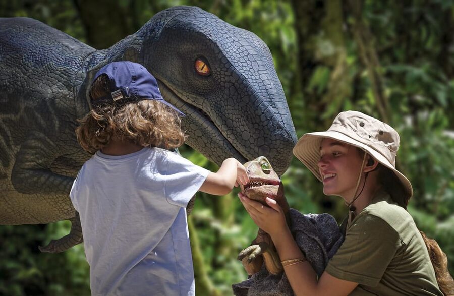From Alcúdia: Dinosaurland and Hams' Caves Half-Day Trip - Timing matters more than the brochure suggests