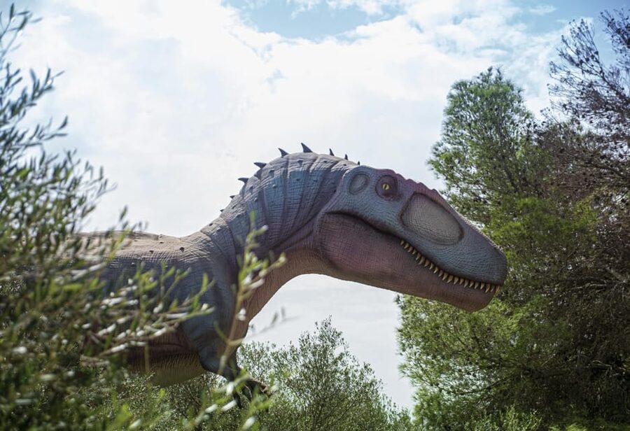 From Alcúdia: Dinosaurland and Hams' Caves Half-Day Trip - What the $68 price really covers
