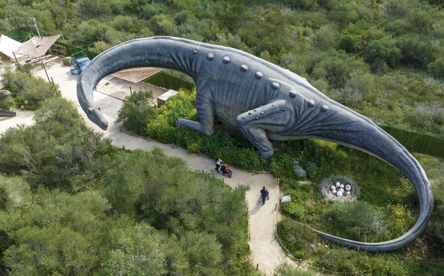 From Alcúdia: Dinosaurland and Hams' Caves Half-Day Trip - Leaving Alcúdia by air-conditioned coach
