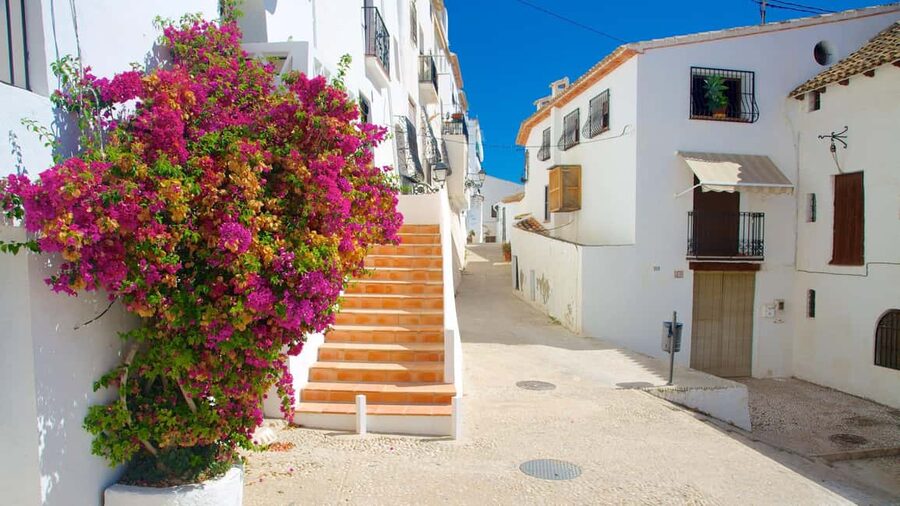 From Alicante/Benidorm: Guadalest & Altea Day Trip - Is $40 a fair price?