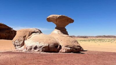 From Amman: Petra, Wadi Rum, and Dead Sea Private 2-Day Trip