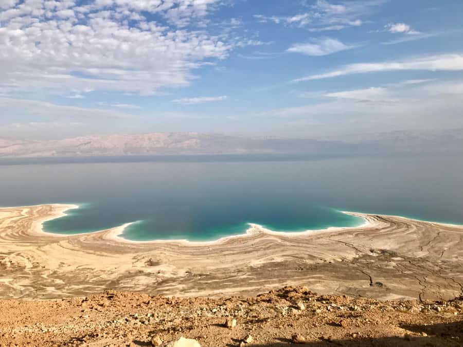 From Amman: Petra, Wadi Rum, and Dead Sea Private 2-Day Trip - Why the private driver matters so much