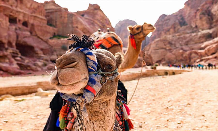 From Amman: Private Petra Day Trip with Guide - Entering Petra through the Siq